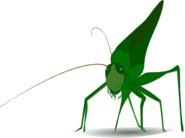 Border Clipart Insect - Grasshopper Clipart - Png Download (640x480), Png Download