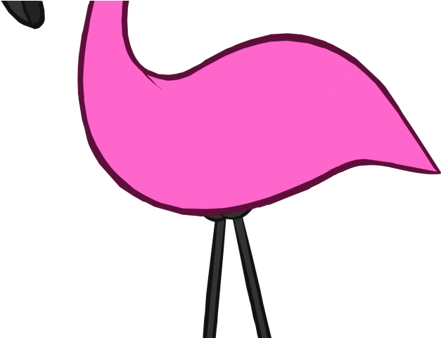 Flamingo Clipart Swimming - Png Download (640x480), Png Download