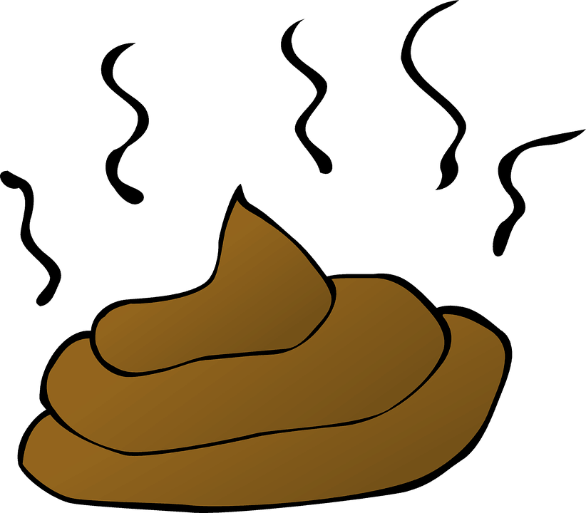 How Someone Else's Poop Can Save Your Life - Transparent Background Poop Clipart - Png Download (640x560), Png Download