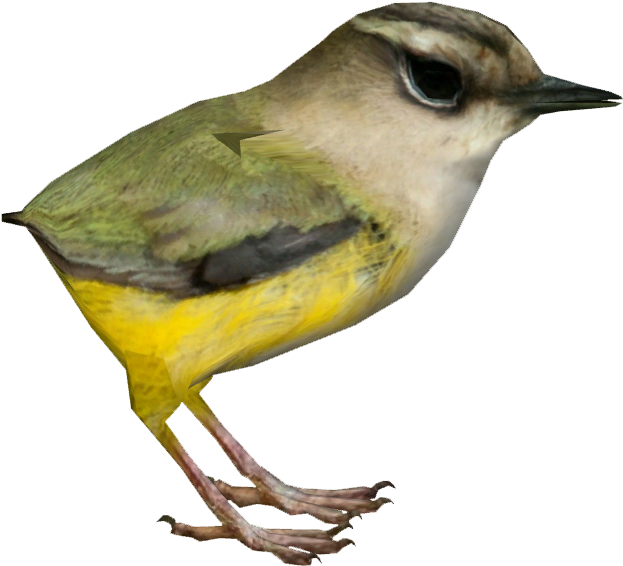 Nightingale Clipart (622x622), Png Download