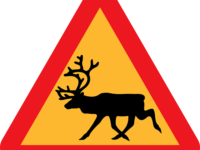 Dear Clipart Transparent - Reindeer Clip Art Black And White - Png Download (640x480), Png Download