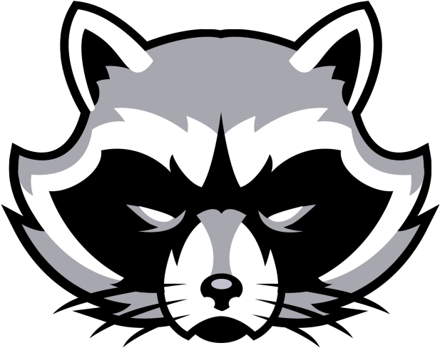 Cc144d14 - Raccoon Clipart - Png Download (639x505), Png Download