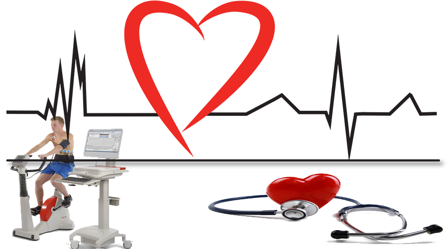 Heart Clipart (956x500), Png Download