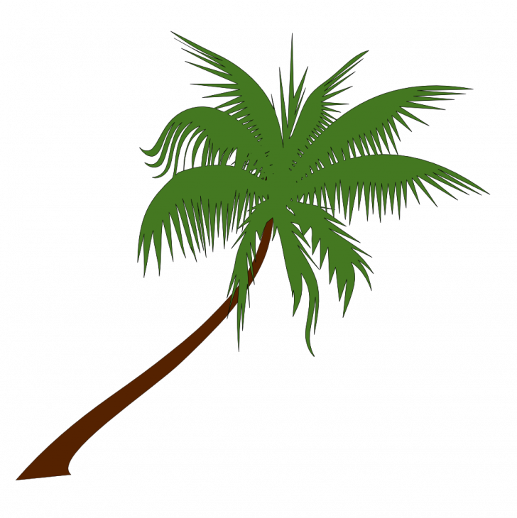Medium Size Of Christmas Tree - Palm Tree Vector Png Clipart (728x730), Png Download