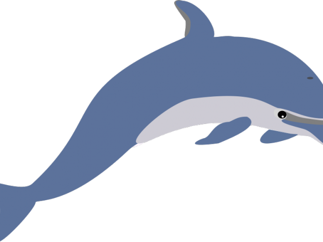 Dolphin Clipart Aquatic Animal - Free Clip Art Dolphin - Png Download (640x480), Png Download