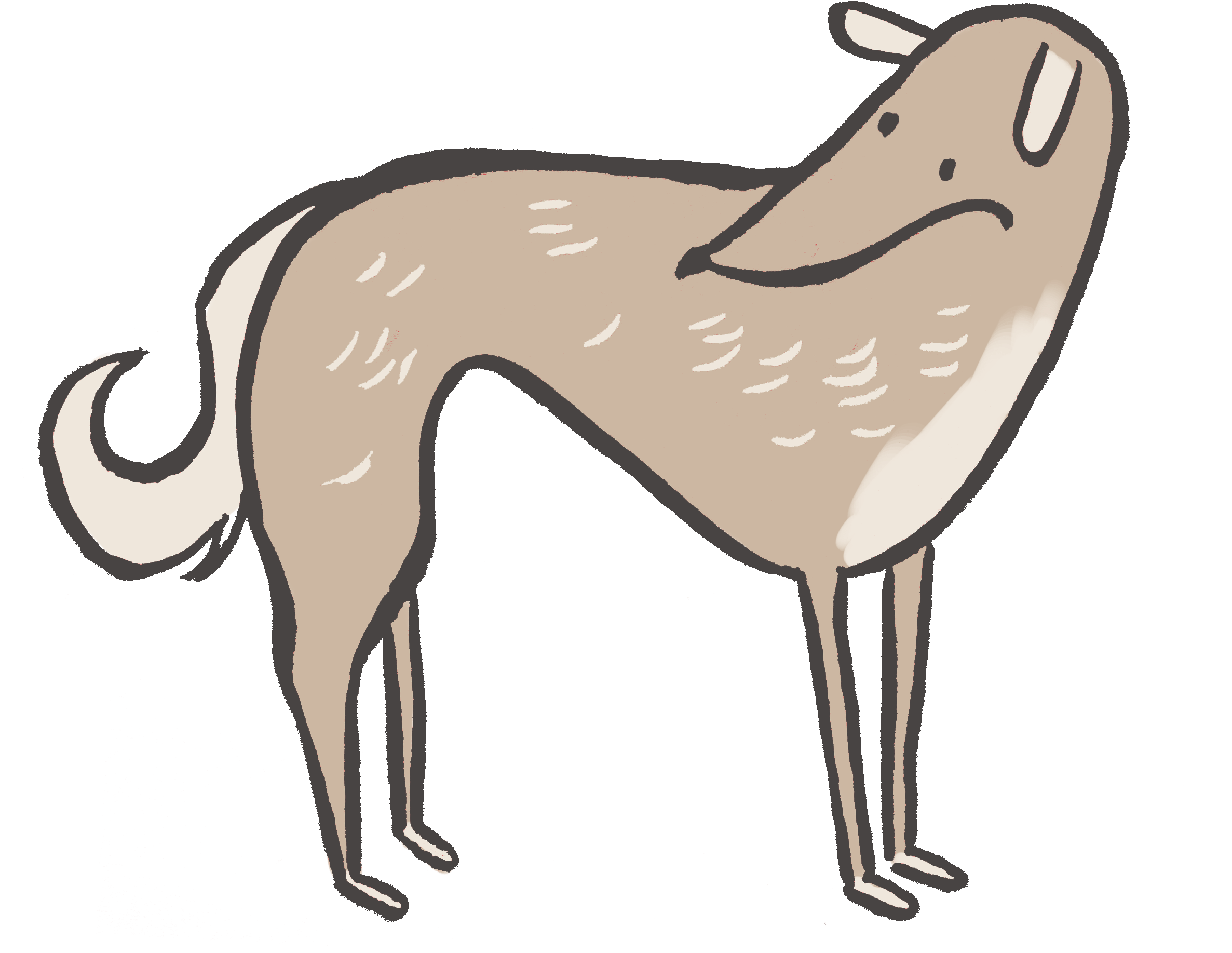 Little Dog Grooming Calgary Bath And Tidy - Dog Catches Something Clipart (2550x1938), Png Download