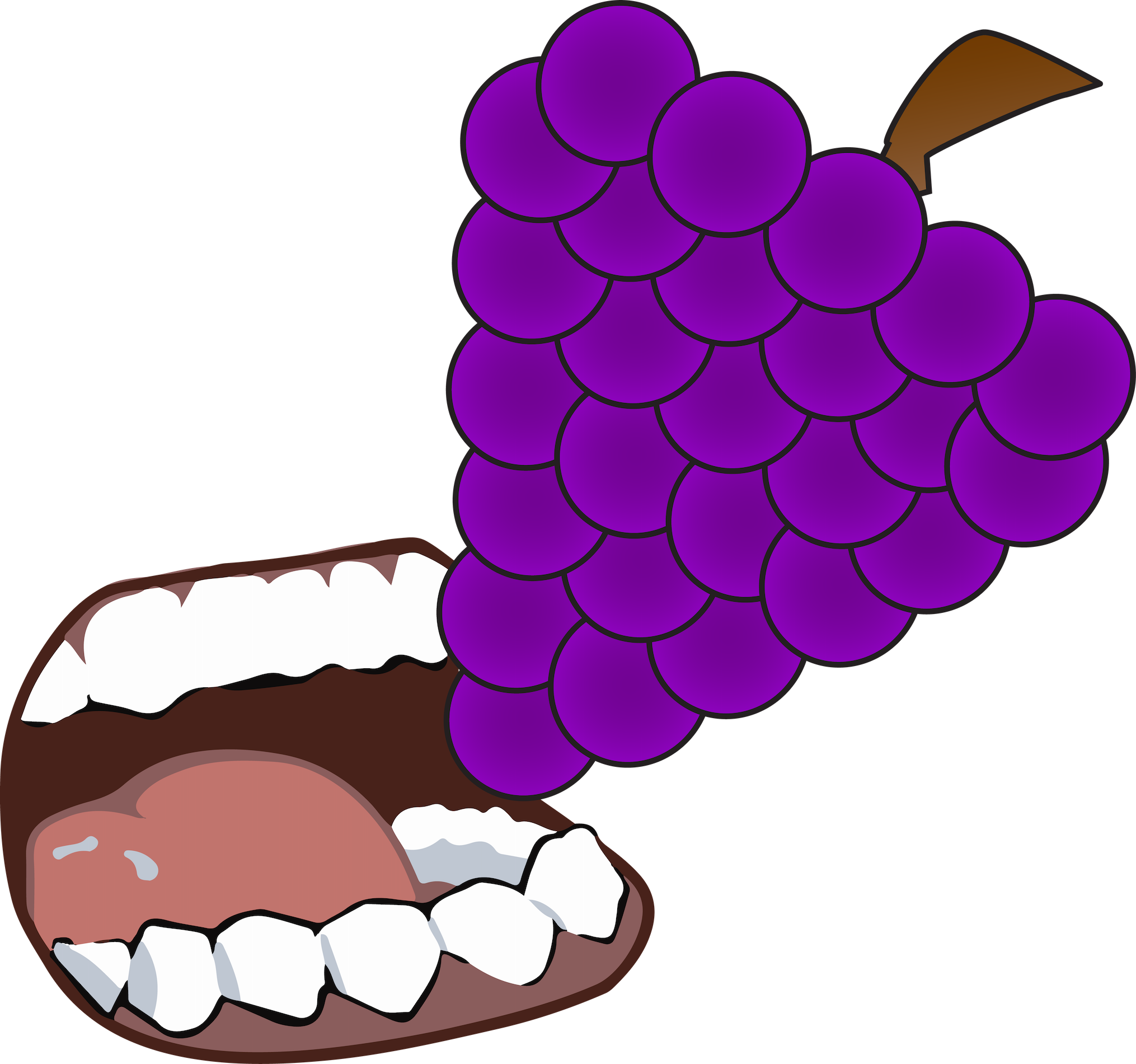 Grapevine Clipart Banner - Png Download (2030x1901), Png Download