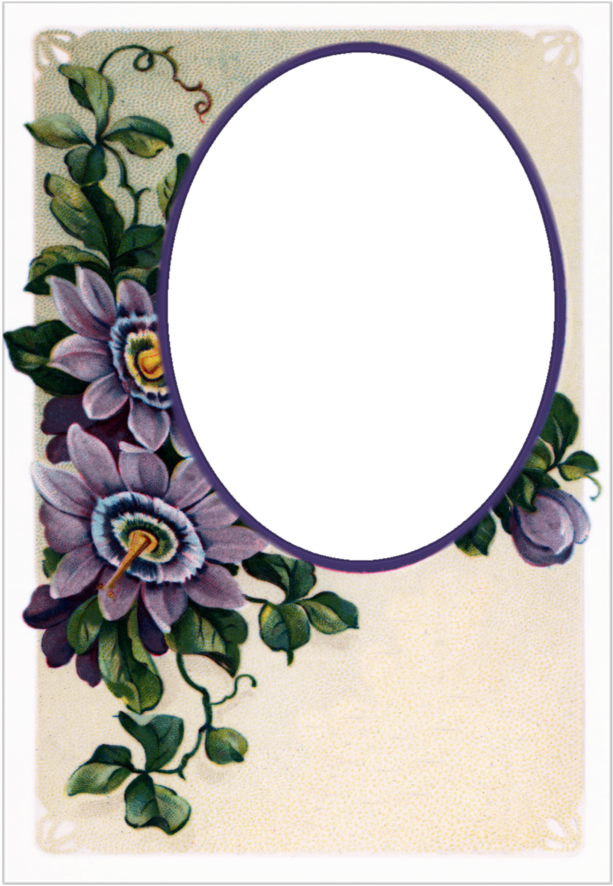 #free #scrapbook #craft #hobbies #hobby #embelishment - Vintage Postcards Flowers Clipart (764x1046), Png Download