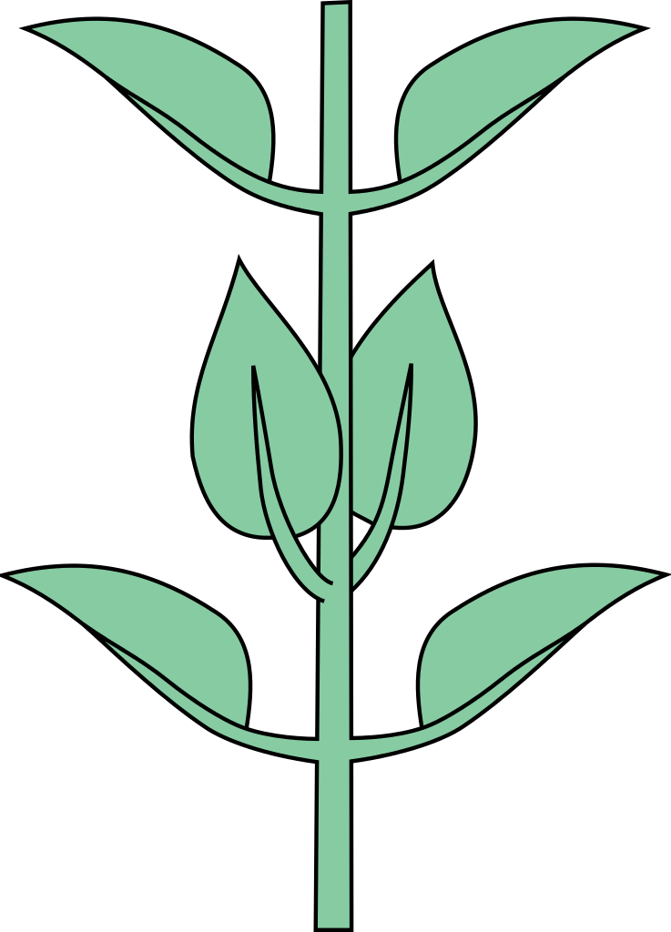 Get Free High Quality Hd Wallpapers Opposites Wiki - Opposite Decussate Clipart (737x1024), Png Download