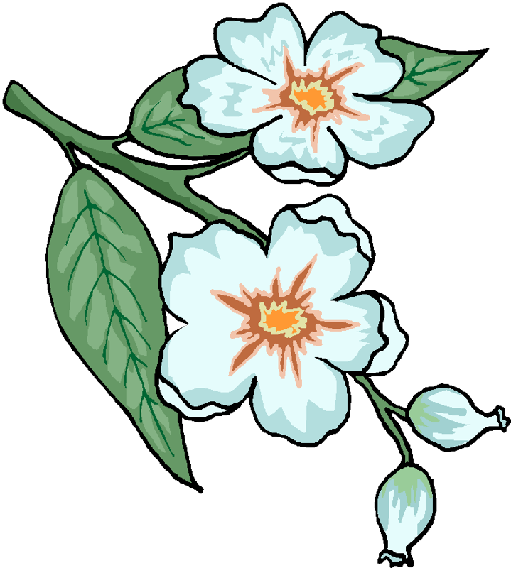 Costura Stephany En Punto De Cruz Clipart (719x800), Png Download