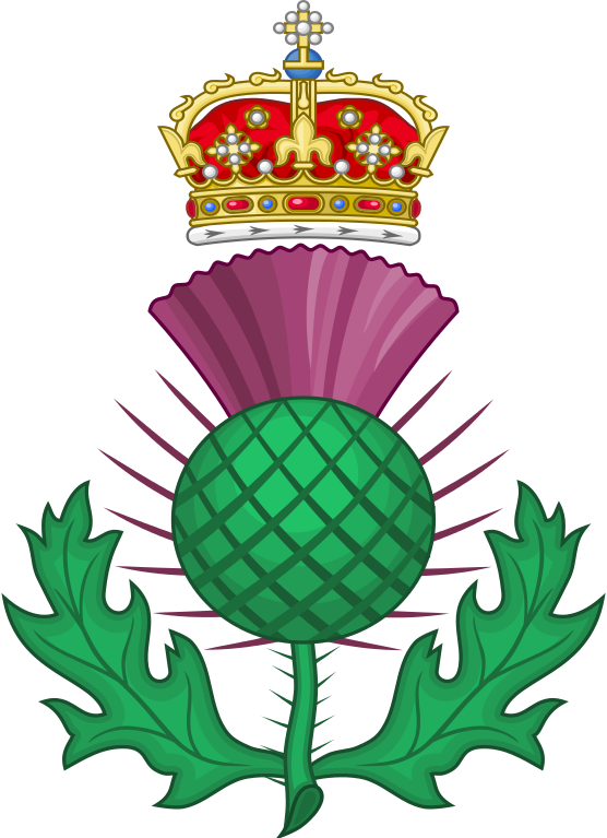 Thistle Royal Badge Of Scotland Clipart (556x767), Png Download