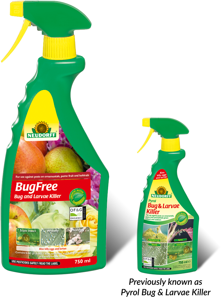 Bug And Larvae Killer Clipart (1000x1195), Png Download