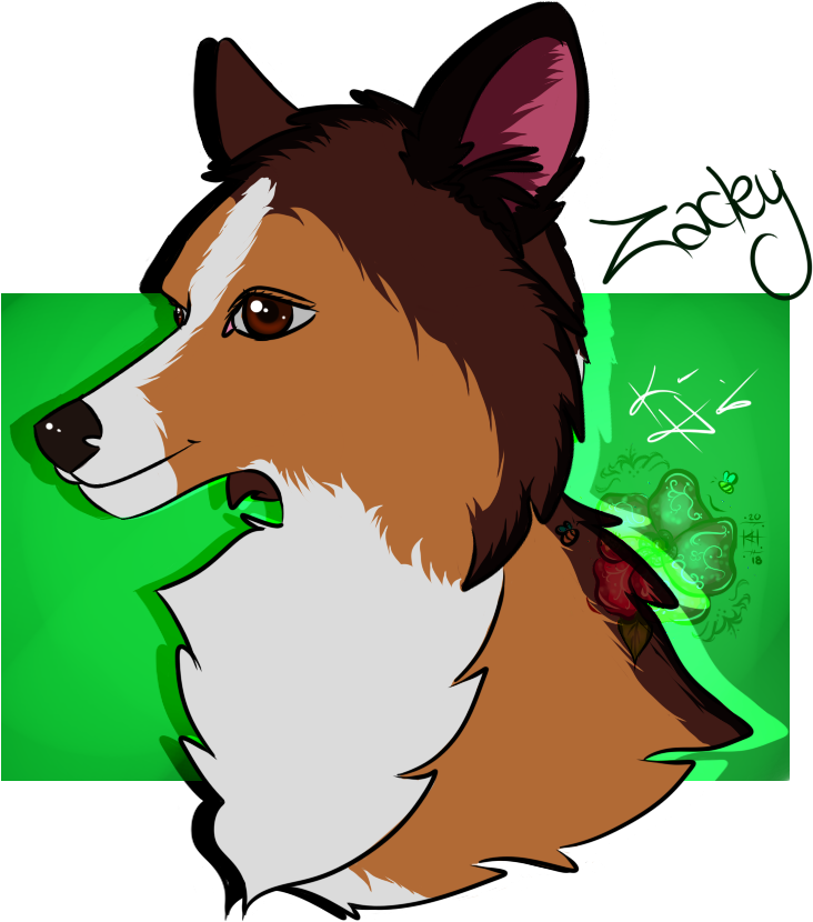 Zachary - Dog Clipart (800x900), Png Download
