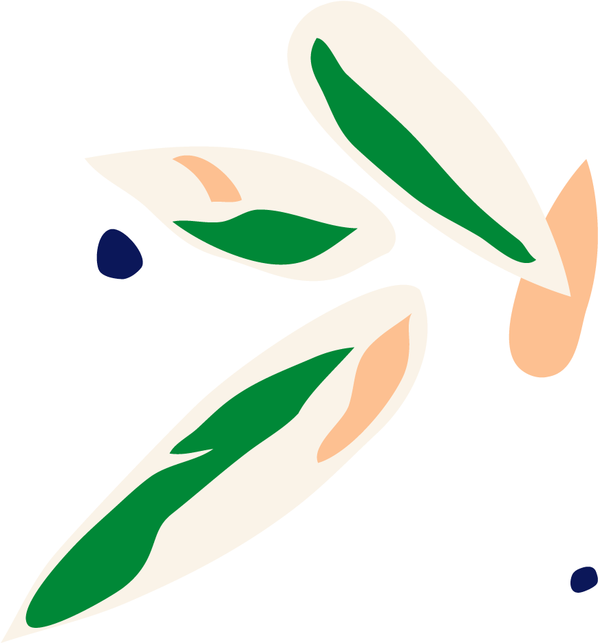 Botanical Name Clipart (923x1135), Png Download