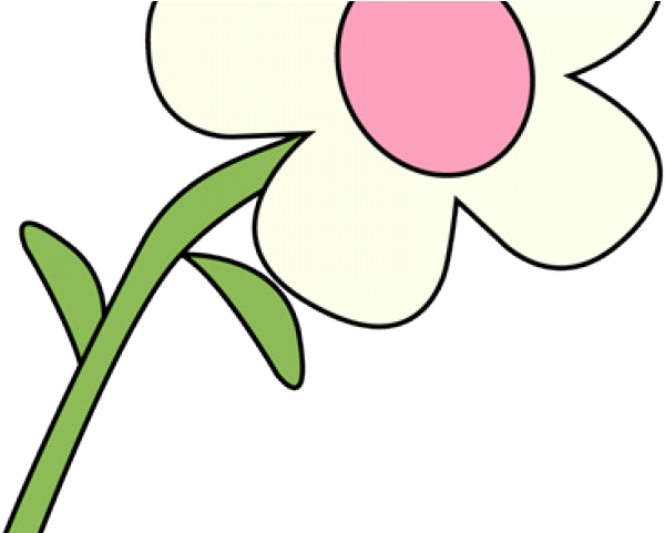 White Flower Clipart - Flowers Clip Art Single - Png Download (640x480), Png Download