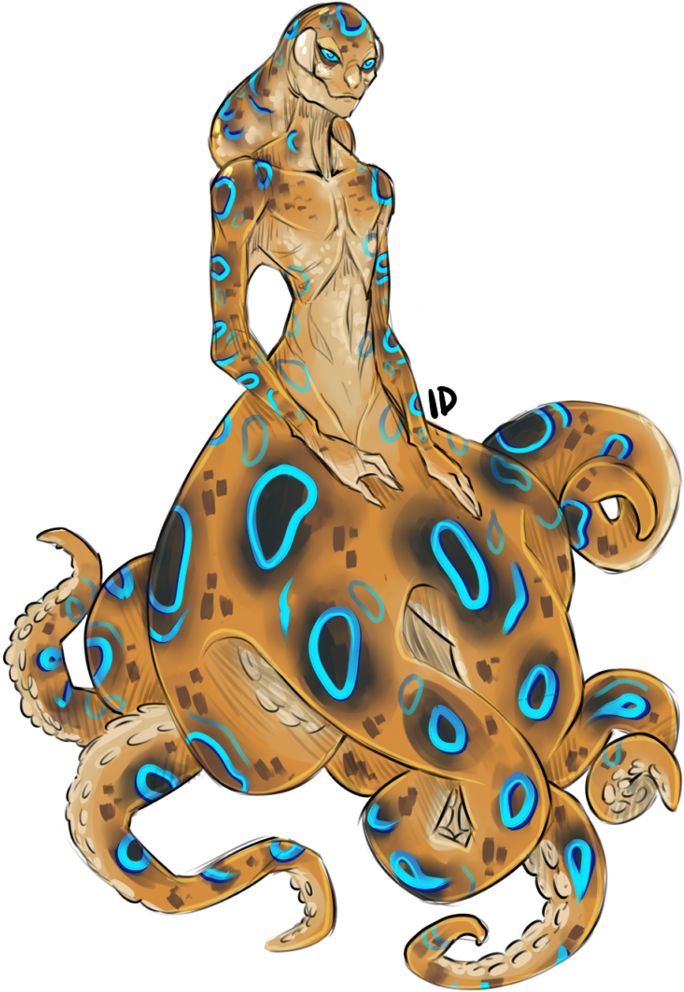 Drawn Octopus Blue Ringed Octopus - Blue Ringed Octopus Drawings Clipart (747x1070), Png Download