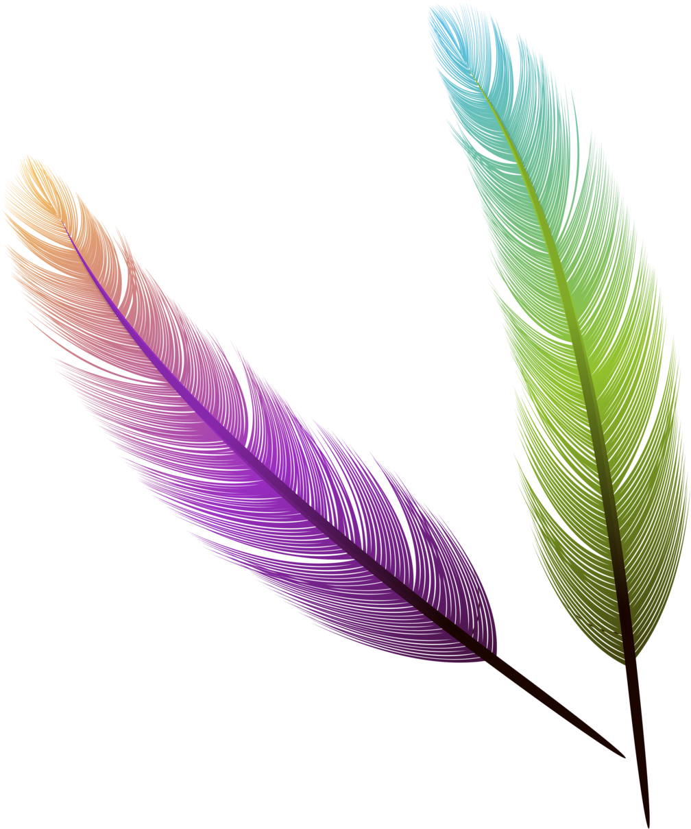 Фотки Sleeve Tattoos, Art Ideas, Clip Art, Tattoo Ideas, - Feather - Png Download (1074x1280), Png Download