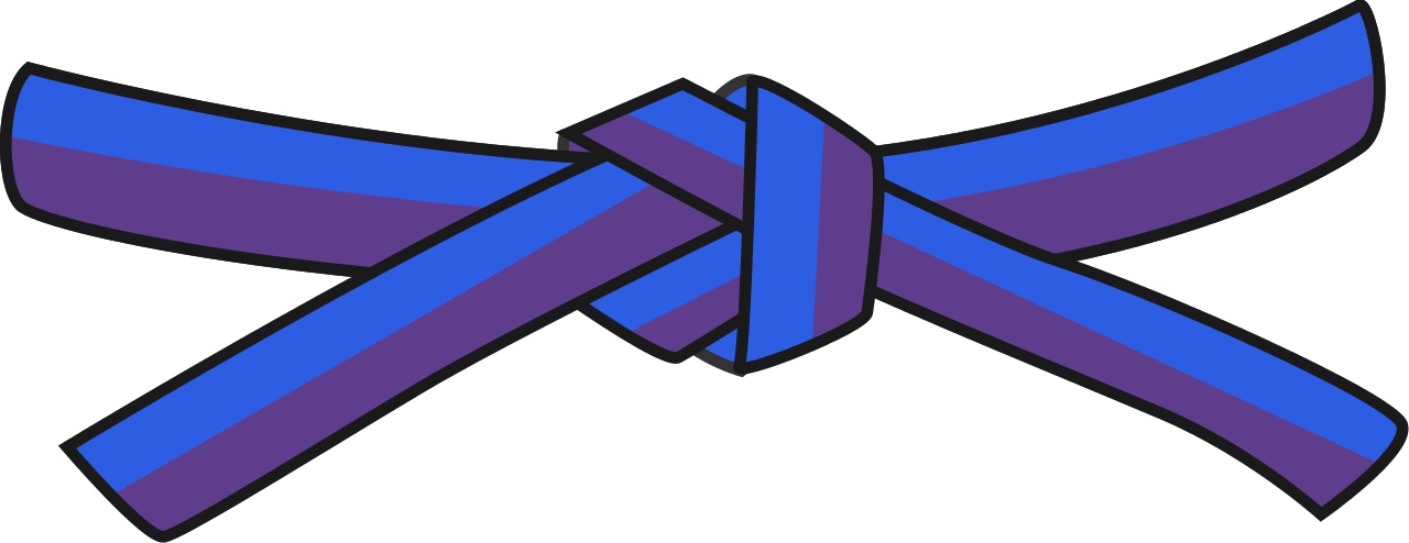 Judo Blue-purple Belt - Blue Belt Judo Clipart (1280x494), Png Download