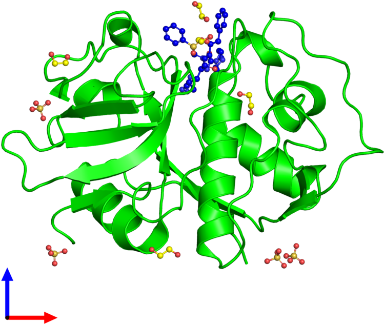Monomeric Assembly 1 Of Pdb Entry 3lxs Coloured By - Graphic Design Clipart (800x800), Png Download