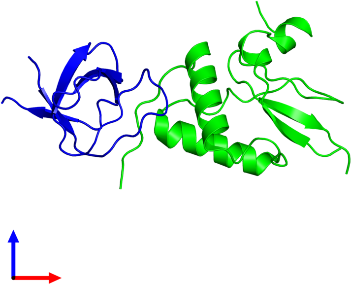 Dimeric Assembly 1 Of Pdb Entry 3reb Coloured By Chemically - Graphic Design Clipart (800x800), Png Download