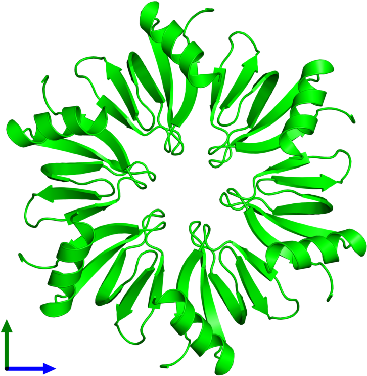 Hexameric Assembly 2 Of Pdb Entry 2yht Coloured By - Illustration Clipart (800x800), Png Download