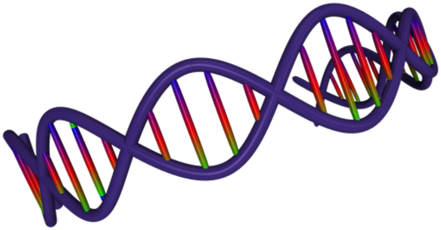 Alter Your Dna For Good - Adn Png Clipart (1024x585), Png Download