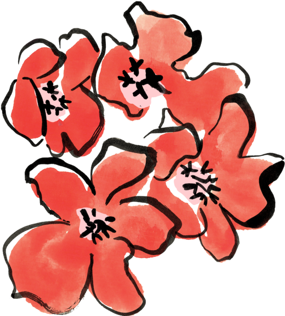 Sustainable Capsule Clipart (720x645), Png Download