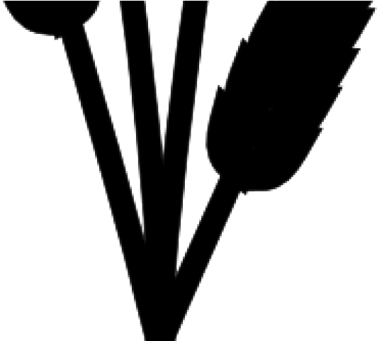 Oat Clipart Wheat Head - Monochrome - Png Download (640x480), Png Download