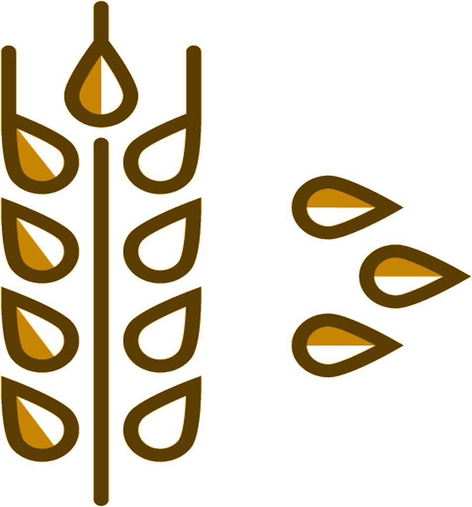 Gold Wheat Icon Clipart (1500x1500), Png Download