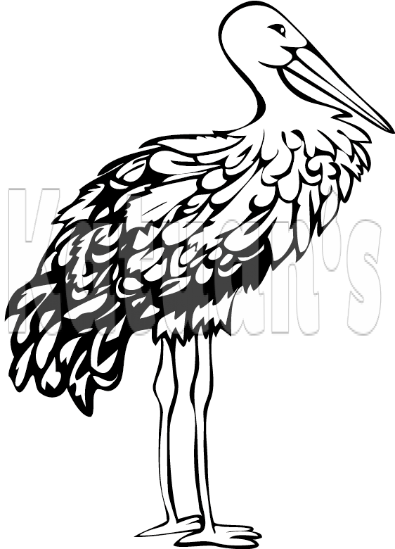 Stork - Crane Clipart (562x780), Png Download