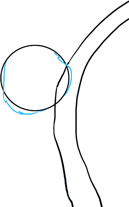 How To Draw Koala - Drawing Clipart (680x678), Png Download