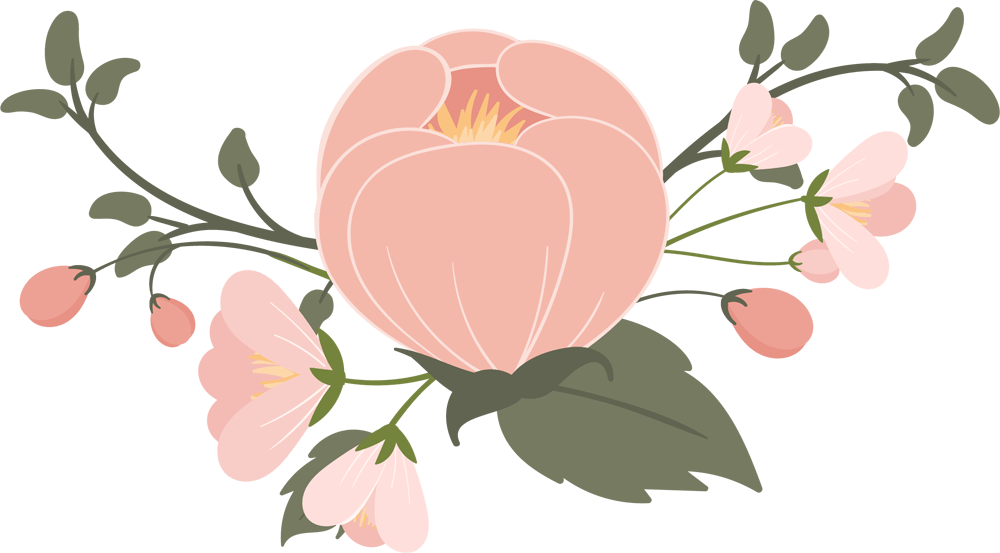 Are You A Southern Belle A Must Read For All Southern - Japanese Camellia Clipart (1000x553), Png Download