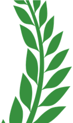 Wheat Clipart Laurel - Crypto Communism - Png Download (640x480), Png Download