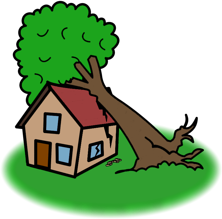 Een “wettelijke Zorgplicht” Voor Bomen Bestaat Niet Clipart (795x800), Png Download