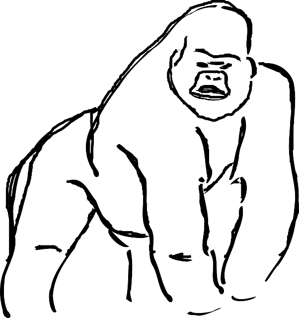 Gorilla Clipart Line - Gorilla Line Art - Png Download (602x640), Png Download