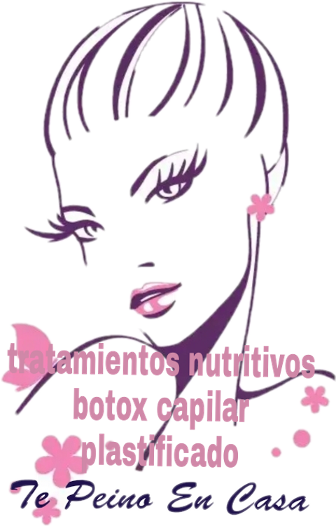 Boy Scouts Of America Clipart (480x750), Png Download