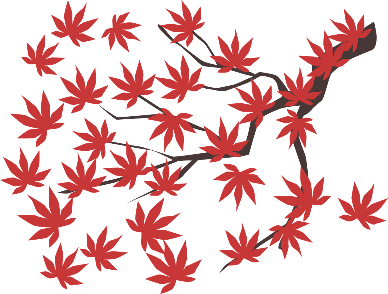 Mom Books, Maple Sap, Menopause & Starshine - Lá Phong Vector Clipart (1280x968), Png Download