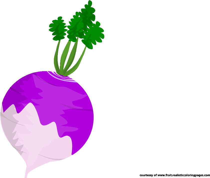 Beetroot Clipart Beetroot Coloring Pages - Illustration - Png Download (1280x720), Png Download