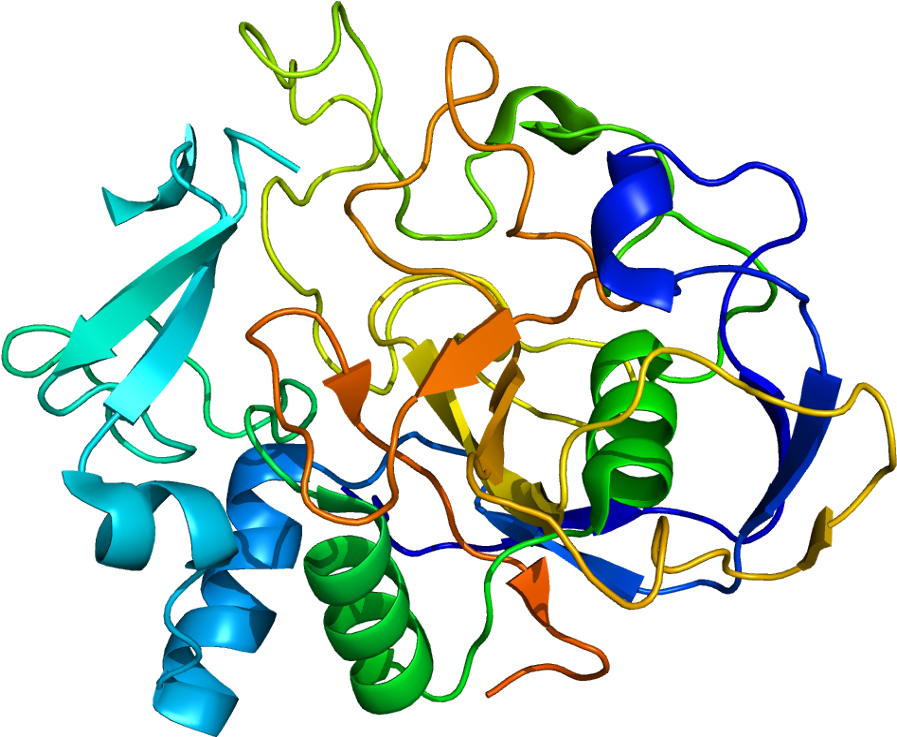 Sumf1 Protein Structure Clipart (946x786), Png Download