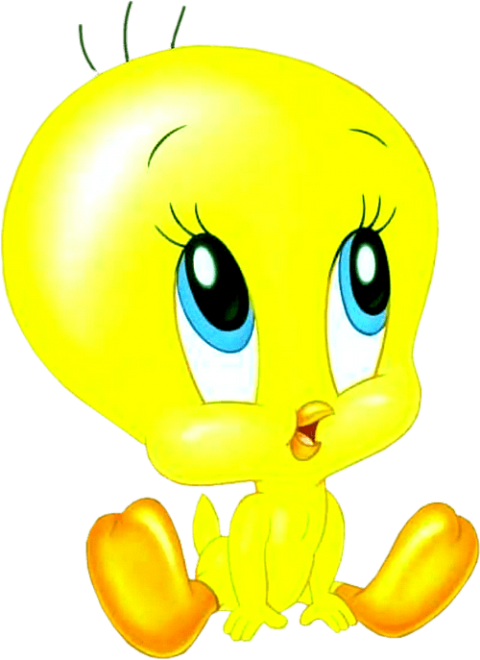 Free Png Download Baby Looney Tunes Tweety Bird Png - Baby Tweety Bird Clipart (480x660), Png Download