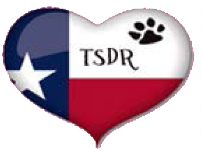 Heart Clipart (800x533), Png Download