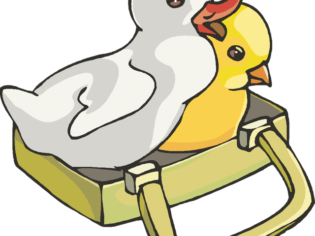 Chicken Clipart Duck - Png Download (640x480), Png Download