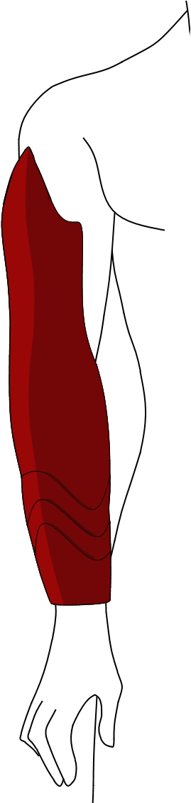 Gauntlet Progress Clipart (465x1131), Png Download