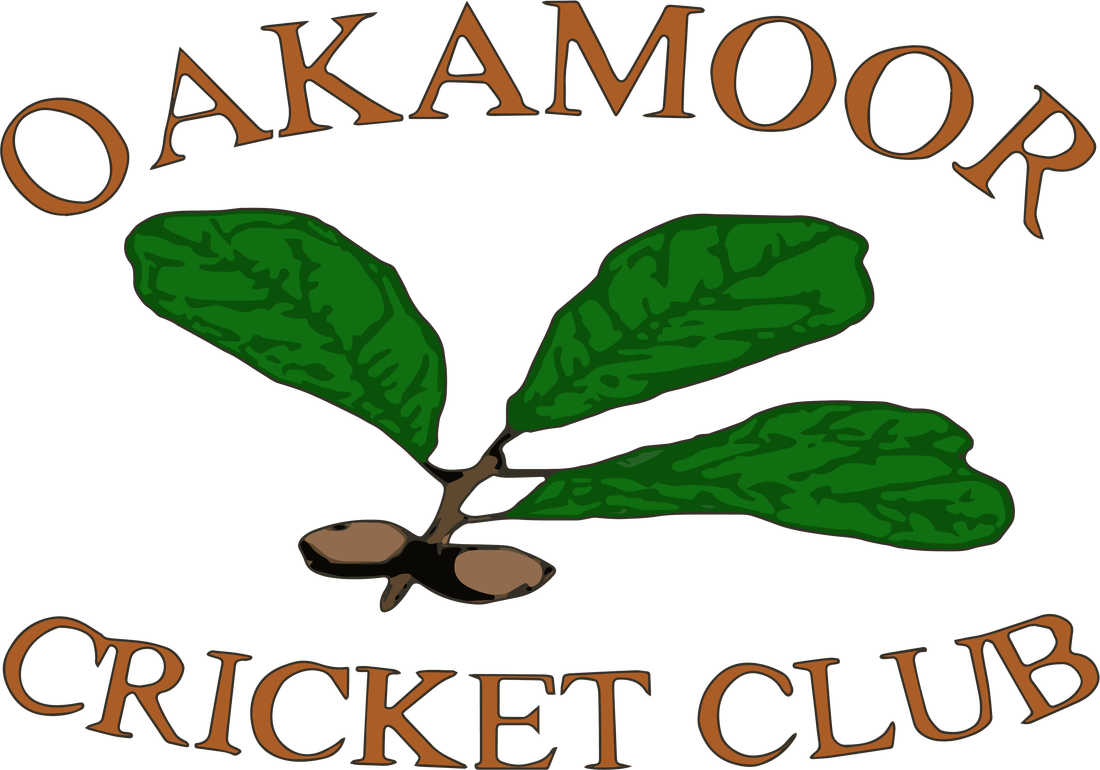 Cricket Clipart Ladies Cricket - Png Download (1100x770), Png Download