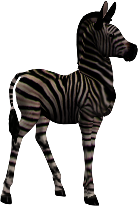 Zebra Foal 1 Png Stock By Direwrath Pluspng - Zebra Clipart (885x903), Png Download