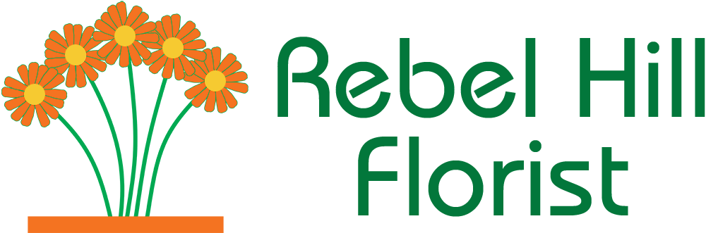 Edward Benguiat Bauhaus Clipart (1000x331), Png Download