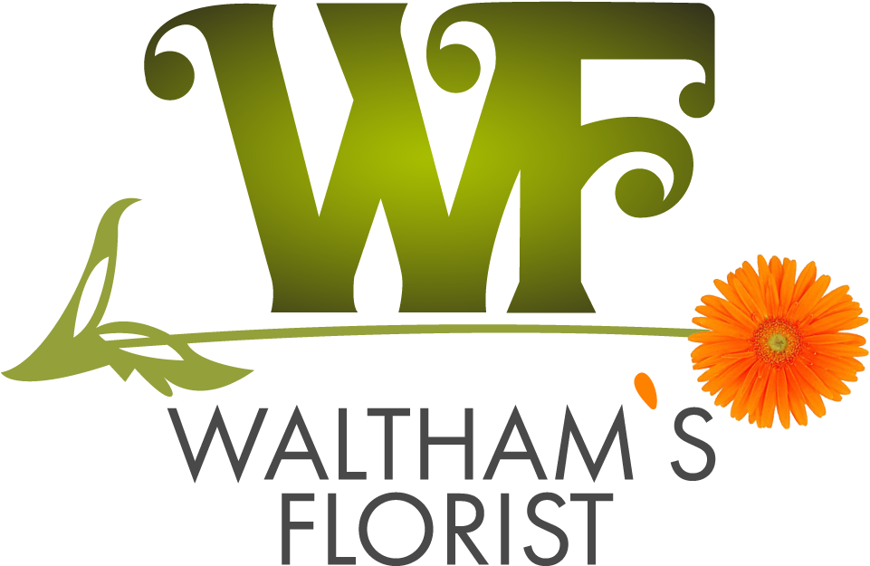 Waltham, Ma Florist - English Marigold Clipart (978x652), Png Download