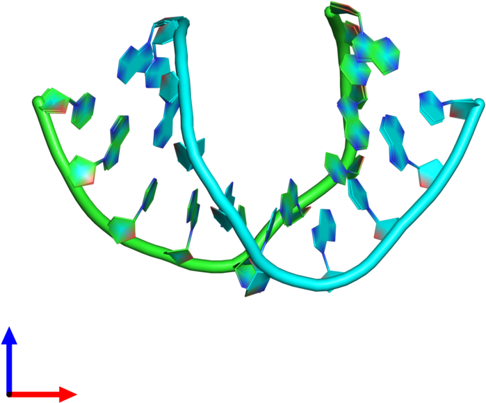 Pdb 5axe Coloured By Chain And Viewed From The Front - Graphic Design Clipart (800x800), Png Download