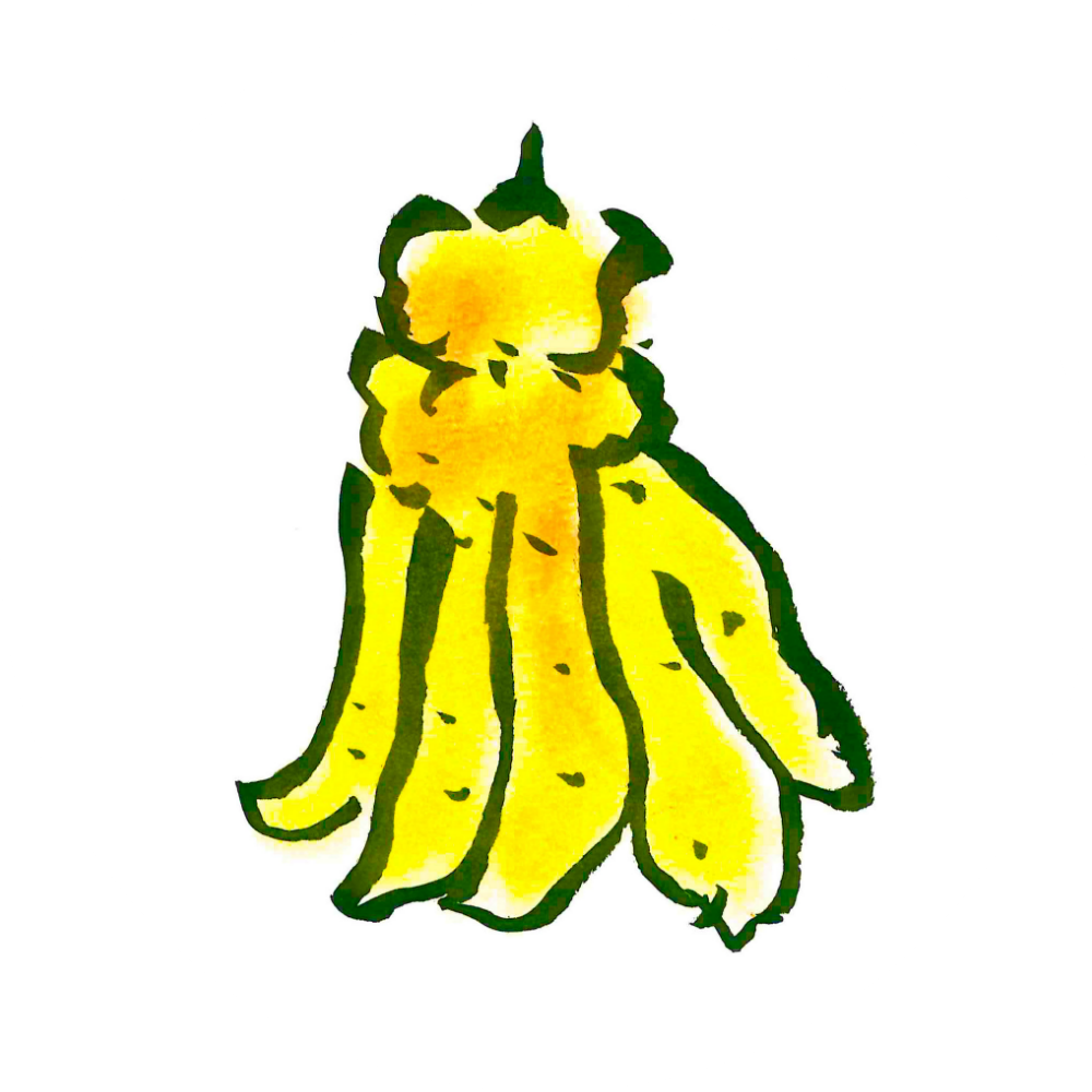 Buddha's Hand Clipart (1000x1000), Png Download