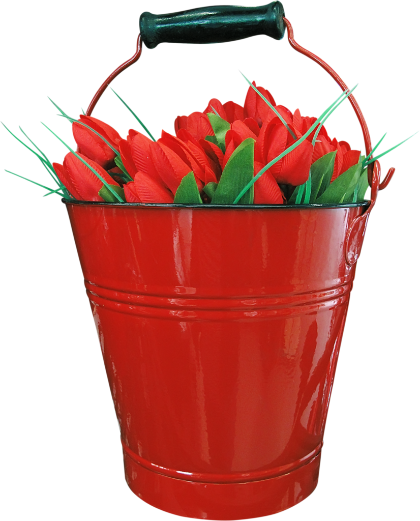 Фотки Jardim De Água, Flores, Clip Art - Tulip - Png Download (826x1024), Png Download